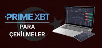 The Ultimate Guide to PrimeXBT Trade The Ultimate Guide to PrimeXBT Trade