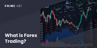 The Rise of PrimeXBT Revolutionizing the Trading Experience The Rise of PrimeXBT Revolutionizing the Trading Experience